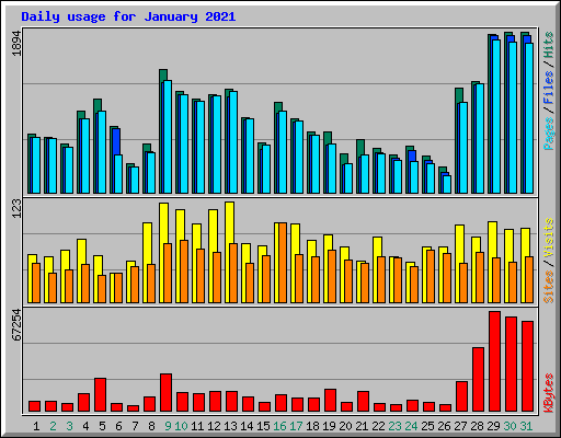 Daily usage for January 2021