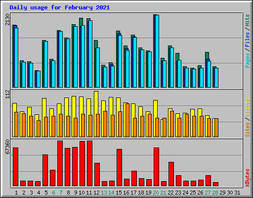 Daily usage for February 2021