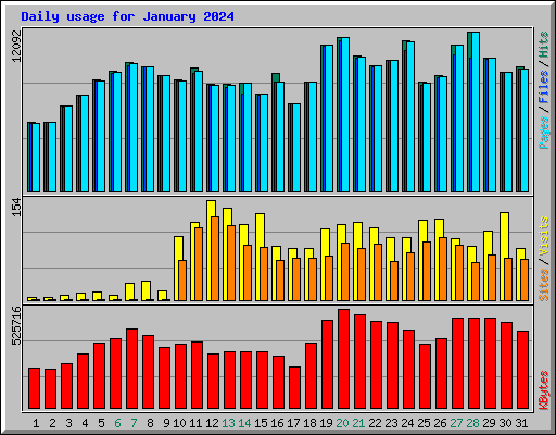 Daily usage for January 2024