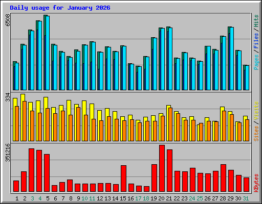 Daily usage for January 2026