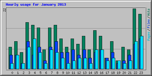 Hourly usage for January 2013