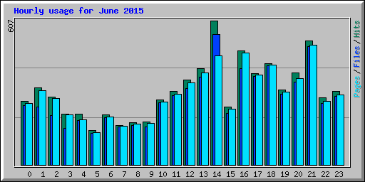 Hourly usage for June 2015