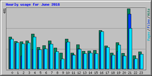 Hourly usage for June 2016