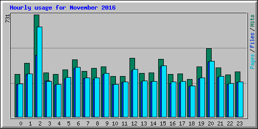 Hourly usage for November 2016