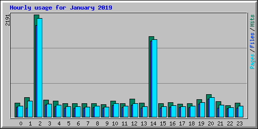 Hourly usage for January 2019