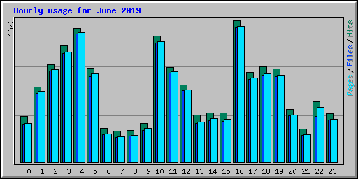 Hourly usage for June 2019