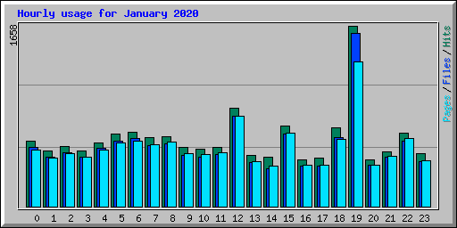 Hourly usage for January 2020