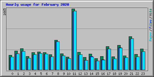 Hourly usage for February 2020