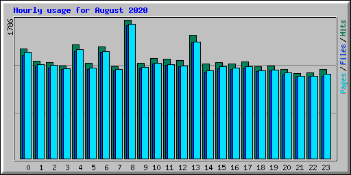 Hourly usage for August 2020