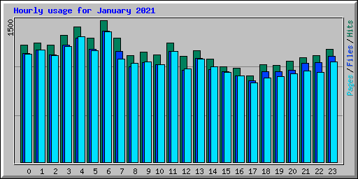 Hourly usage for January 2021