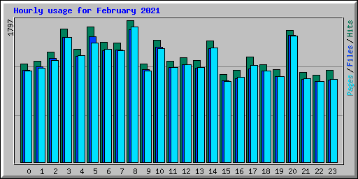 Hourly usage for February 2021