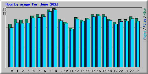 Hourly usage for June 2021