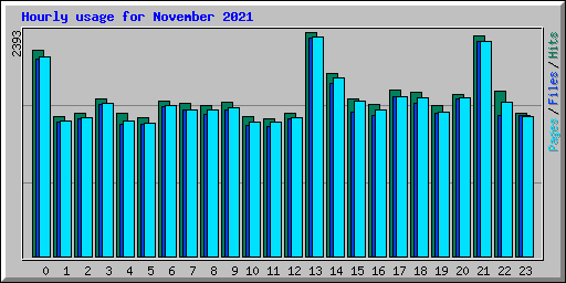 Hourly usage for November 2021