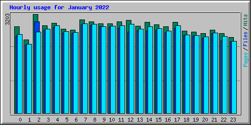 Hourly usage for January 2022