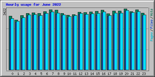 Hourly usage for June 2022