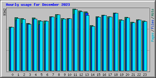 Hourly usage for December 2023