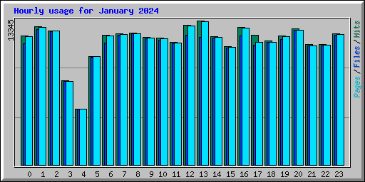 Hourly usage for January 2024