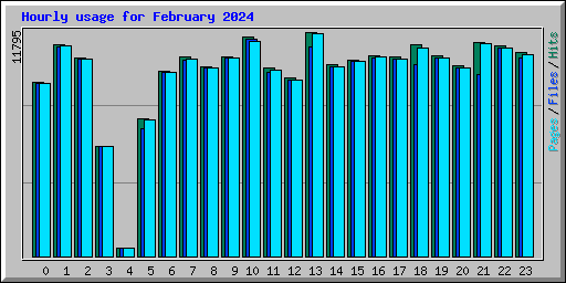 Hourly usage for February 2024