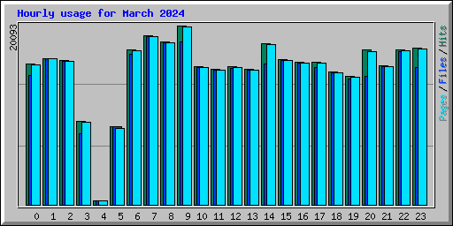 Hourly usage for March 2024