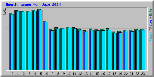 Hourly usage for July 2024