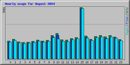 Hourly usage for August 2024