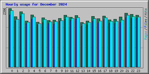 Hourly usage for December 2024