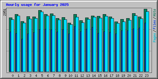 Hourly usage for January 2025