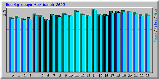 Hourly usage for March 2025