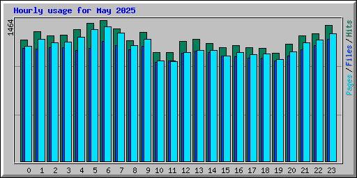 Hourly usage for May 2025