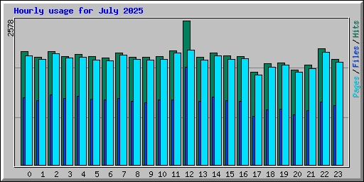 Hourly usage for July 2025