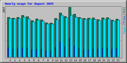 Hourly usage for August 2025