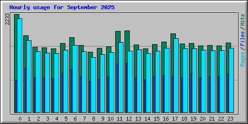 Hourly usage for September 2025