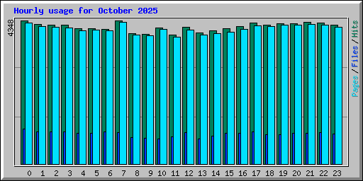 Hourly usage for October 2025