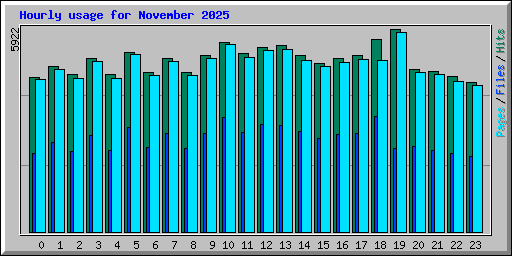 Hourly usage for November 2025