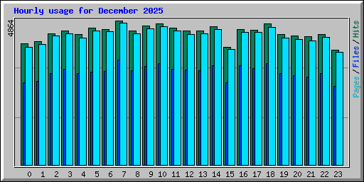 Hourly usage for December 2025